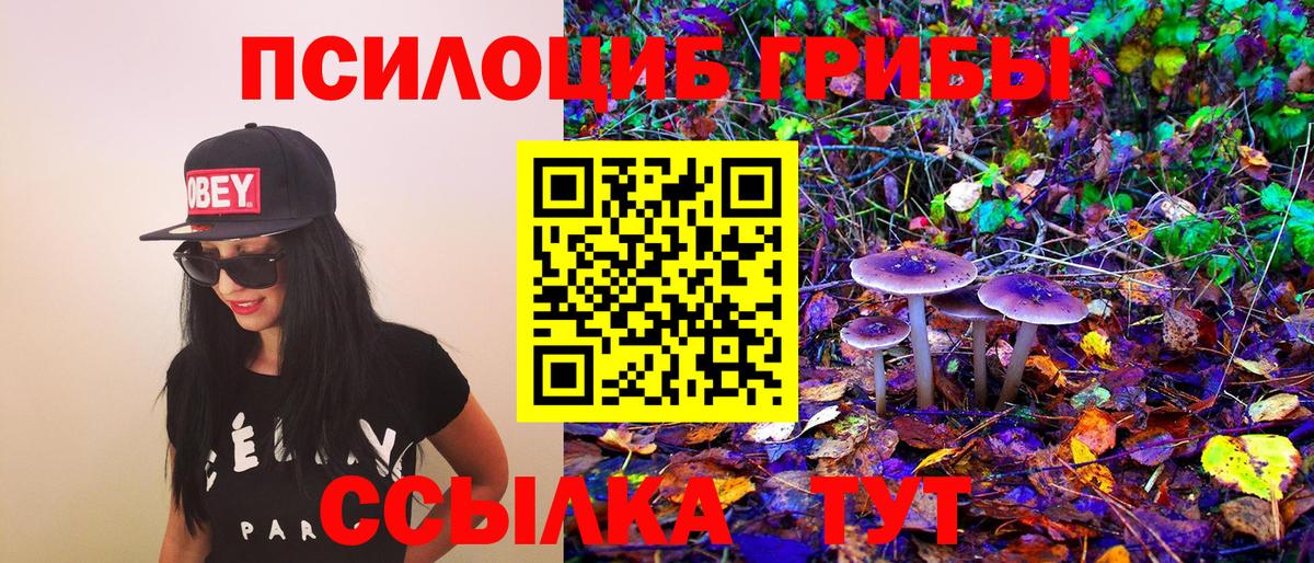 Галлюциногенные грибы мухоморы  Галлюциногенные грибы Cubensis  Лысьва  дарнет шоп  Вход с VPN 